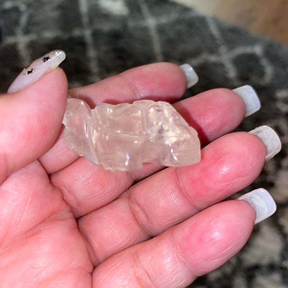 Crystal turtles - Picture 10 of 16